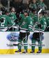 red_wings_stars_hockey_94703.jpg