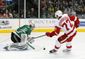 red_wings_stars_hockey_96340.jpg