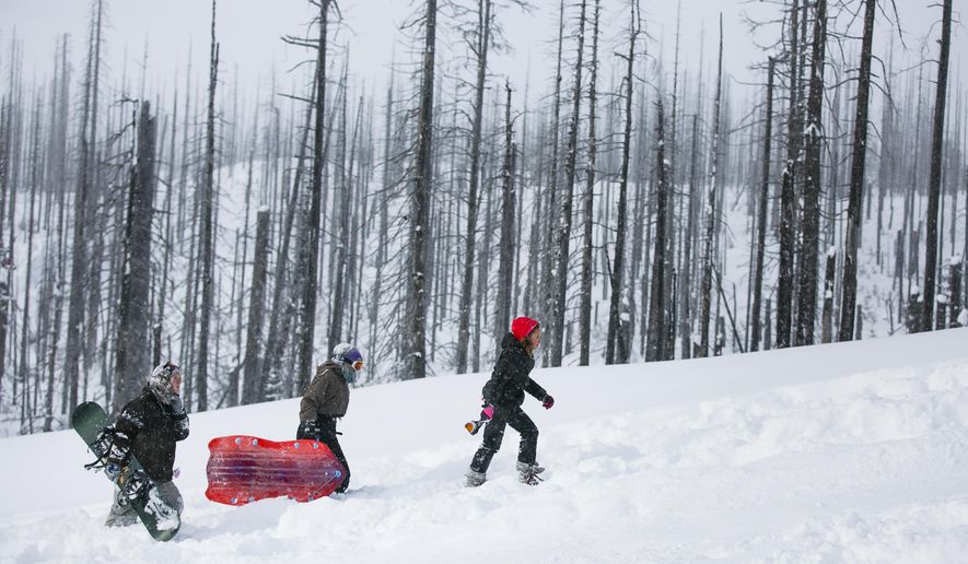 ADVANCE FOR WEEKEND EDITIONS - In this Monday, Jan. 2, 2017, photo, sledders and snowboarders make their way back up the hill at the Santiam Sno-Park in McKenzie Bridge, Ore. The Asay and Gilhuber families drove out the park from Eugene for some fun in the snow on the second day of the New Year. (Molly J. Smith/Statesman-Journal via AP)