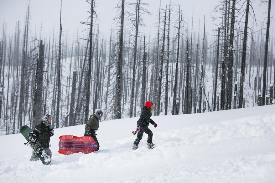 ADVANCE FOR WEEKEND EDITIONS - In this Monday, Jan. 2, 2017, photo, sledders and snowboarders make their way back up the hill at the Santiam Sno-Park in McKenzie Bridge, Ore. The Asay and Gilhuber families drove out the park from Eugene for some fun in the snow on the second day of the New Year. (Molly J. Smith/Statesman-Journal via AP)