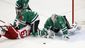 red_wings_stars_hockey_70777.jpg