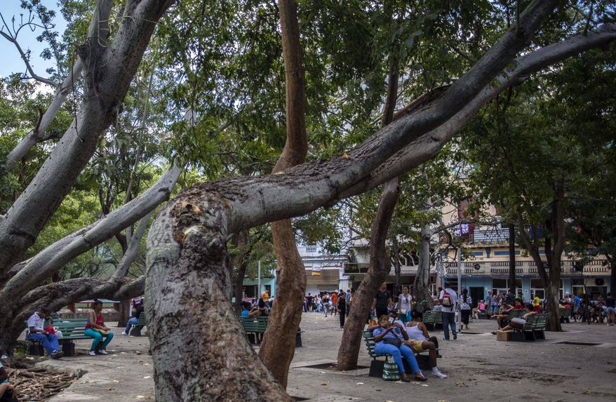 In this Jan. 6, 2017 photo, people use a public wifi hotspot in Havana, Cuba. Cuba depended on slow, expensive satellite internet until 2013, when it opened a fiber-optic cable to Venezuela that connected the island to the global online infrastructure. (AP Photo/Desmond Boylan)