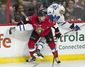 maple_leafs_senators_hockey_03936.jpg