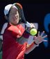 australian_open_tennis_87811.jpg