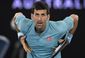 australian_open_tennis_84332.jpg