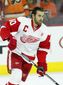 around_the_nhl_hockey_96182.jpg