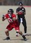 falcons_football_83597.jpg