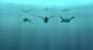 film_review_the_red_turtle_36261.jpg