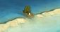 film_review_the_red_turtle_96102.jpg