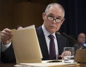 trump_epa_administrator_85149.jpg