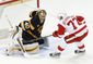 bruins_red_wings_hockey_21510.jpg