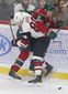 coyotes_wild_hockey_01136.jpg