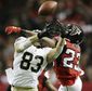 packers_falcons_stressed_defenses_football_04263.jpg
