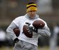 steelers_football_04233.jpg