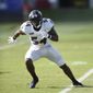 ravens_orr_retires_football_84538.jpg