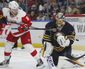 red_wings_sabres_hockey_02893.jpg