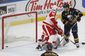 red_wings_sabres_hockey_99381.jpg