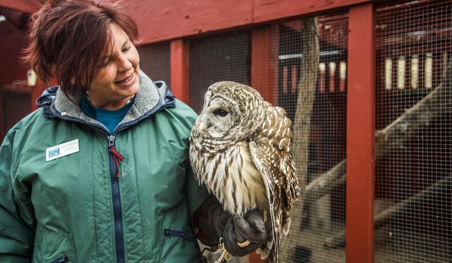 FOR RELEASE SATURDAY, JANUARY 21, 2017, AT 12:01 A.M. MST.-Kelley Stevenson talks with Oberon, a barred owl, at the Nature and Raptor Center of Pueblo, Colo. on Thursday, Dec. 8, 2016. (Stacie Scott/The Gazette via AP)