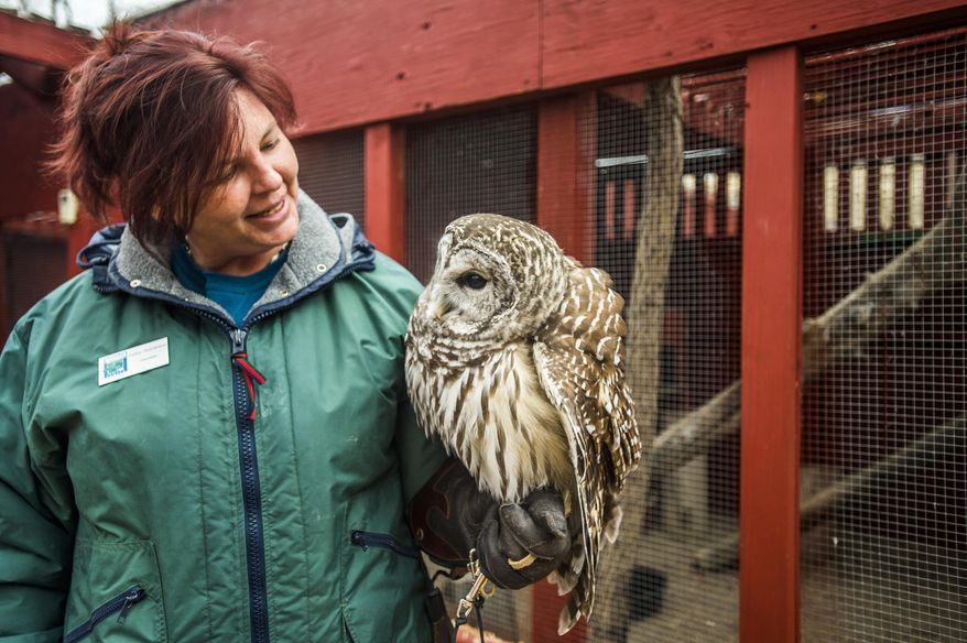 FOR RELEASE SATURDAY, JANUARY 21, 2017, AT 12:01 A.M. MST.-Kelley Stevenson talks with Oberon, a barred owl, at the Nature and Raptor Center of Pueblo, Colo. on Thursday, Dec. 8, 2016. (Stacie Scott/The Gazette via AP)