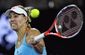 australian_open_tennis_53368.jpg