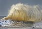 california_storms_62849.jpg