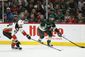 ducks_wild_hockey_30976.jpg
