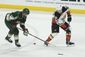 ducks_wild_hockey_48890.jpg