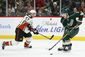 ducks_wild_hockey_50840.jpg