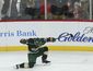 ducks_wild_hockey_52093.jpg