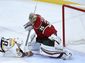 predators_wild_hockey_40466.jpg