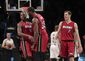 heat_nets_basketball_55319.jpg
