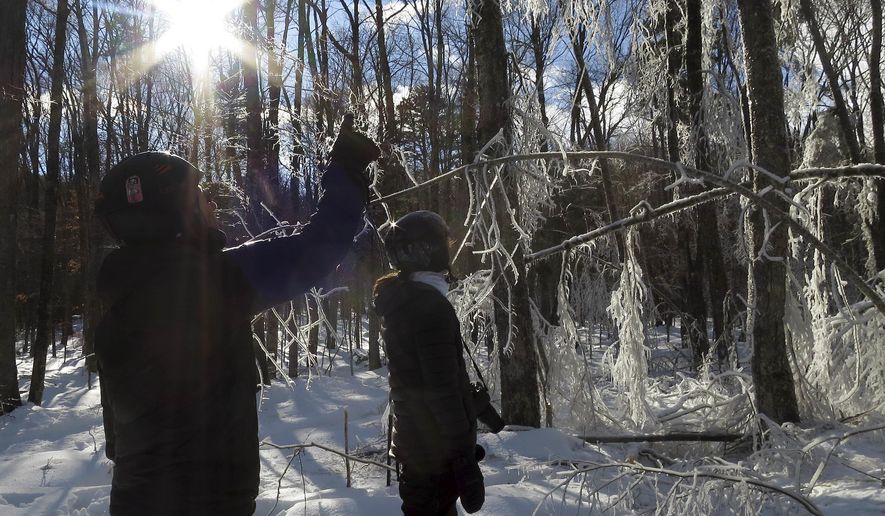 In this Sunday, Jan. 15, 2017 photo, USDA Forest Service researchers Paul Schaberg, left, and Lindsey Rustad, right, examine the aftermath of a manufactured ice storm at the Hubbard Brook Experimental Forest in Woodstock, N.H. A team of scientists sprayed water on the trees the night before as part of a study designed to examine the effects of ice on northern forests. (AP Photo/Holly Ramer)