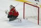 blues_wild_hockey_68355.jpg
