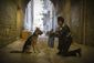 film_review_a_dog's_purpose_85513.jpg