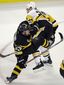 penguins_bruins_hockey_10647.jpg