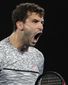 australian_open_tennis_32115.jpg