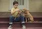 film_review_a_dog's_purpose_46852.jpg