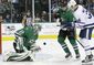 maple_leafs_stars_hockey_65753.jpg