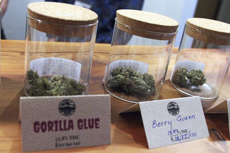 This Jan. 18, 2017 photo shows marijuana including the store's best-seller, Gorilla Glue, available for sale at Rainforest Farms, owned by James and Giono Barrett in Juneau, Alaska. The Barrett brothers have a dream: that some of the scores of cruise ship passengers who crowd the streets of the state capital each summer will one day use their shore excursions to kick back and light up a joint in a pot store's lounge. (AP Photo/Mark Thiessen)