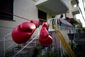 cuba_women's_boxing_photo_gallery_21070.jpg