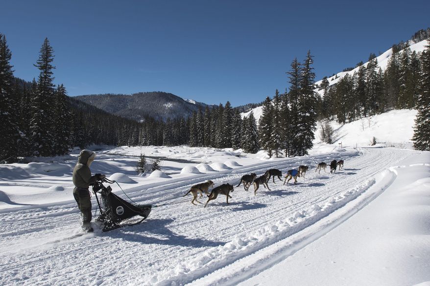 ADVANCE FOR THE WEEKEND OF FEB. 4-5 AND THEREAFTER - In a Jan. 17, 2017 photo, Liz Stewart, of Bondurant, Wyo., drives her team down Greys River Road near Alpine, Wyo., during a training run for the Eukanuba 8-Dog Classic sled dog race. Sled dogs thrive on consistency and regular workouts. Liz and her husband, John Stewart, are both avid mushers. (Bradly J. Boner/Jackson Hole News&Guide via AP)