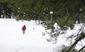 california_drought_snowpack_survey_06839.jpg