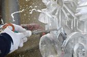 exchange_ice_sculptor_62083.jpg