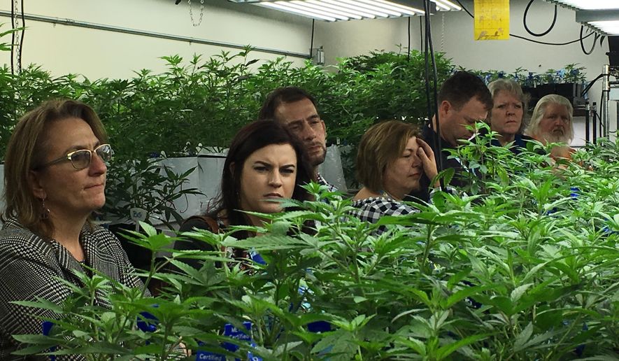 In this Jan. 31, 2017 photo, agriculture regulators from seven different states and Guam tour a Denver marijuana growing warehouse on a tour organized by the Colorado Department of Agriculture in Denver. The department is opening up its marijuana knowledge to other states and encouraging them to plan now for the possibility of regulating farmers growing a plant that violates federal law. (AP Photo/Kristen Wyatt)