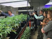 marijuana_agriculture_39049.jpg