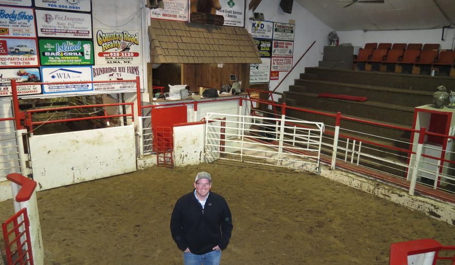 FOR RELEASE SUNDAY, FEBRUARY 5, 2017, AT 12:01 A.M. CST.- Lori Potter, Kearney Hub Alma sale barn manager Matthew Hegamen stands in the sale ring where Tuesday cattle sales that had been suspended in March were restarted in July under local ownership. Alma Commission Company soon will be Alma Livestock Auction LLC and operated similar to a co-op, according to steering committee president. (Lori Potter/The Daily Hub via AP)