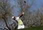 phoenix_open_golf_63969.jpg