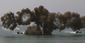 south_china_sea_watch_73595.jpg