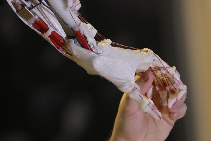 A technician holds the hand of Rob's Open Source Android (ROSAL) which was built in France from 2010-2016, during a press preview for the Robot exhibition held at the Science Museum in London, Tuesday, Feb. 7, 2017. The exhibition which shows 500 years of mechanical and robotic advances is open to the public form Feb. 8 through to Sept. 3. (AP Photo/Alastair Grant)