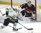 stars_senators_hockey_42128.jpg